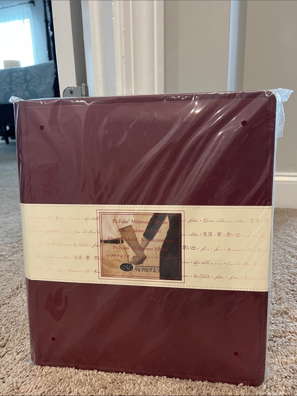 Memories PicFolio Milestone Album - Burgundy